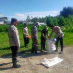 Polsek Pegasing Bersama Masyarakat Lakukan Perawatan Dan Pemupukan Ketahanan Pangan Jagong