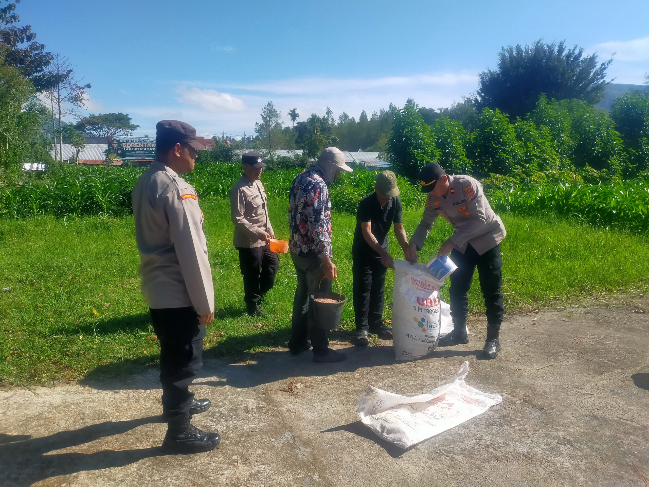 Polsek Pegasing Bersama Masyarakat Lakukan Perawatan Dan Pemupukan Ketahanan Pangan Jagong