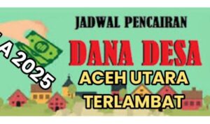 614 Milyar DD 852 Gampong di Aceh Utara, Hingga Maret 2025 Baru Dua DESA Yang Dapat Dicairkan, 36 Desa Kusus Tanah Luas, Ada Apa Dengan DPMG