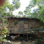 Rumah Warga Yang Sudah Tidak Layak Huni Di Simpang Ulim Tak Kunjung Mendapatkan Bantuan Dari Pemerintah