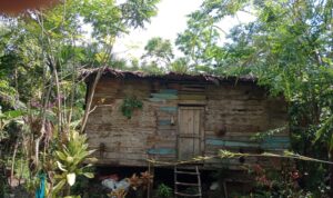 Rumah Warga Yang Sudah Tidak Layak Huni Di Simpang Ulim Tak Kunjung Mendapatkan Bantuan Dari Pemerintah