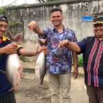 Lapas Tanjungbalai Asahan Panen Ikan Patin, Wujudkan Ketahanan Pangan dan Jumat Berkah