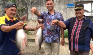 Lapas Tanjungbalai Asahan Panen Ikan Patin, Wujudkan Ketahanan Pangan dan Jumat Berkah