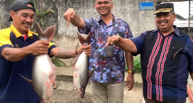 Lapas Tanjungbalai Asahan Panen Ikan Patin, Wujudkan Ketahanan Pangan dan Jumat Berkah