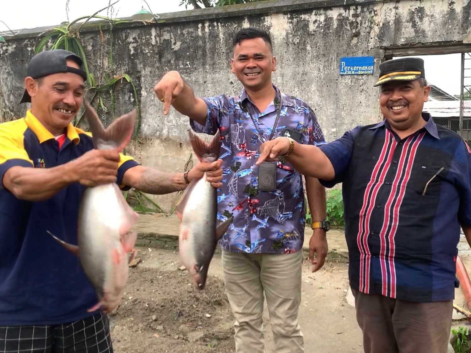 Lapas Tanjungbalai Asahan Panen Ikan Patin, Wujudkan Ketahanan Pangan dan Jumat Berkah