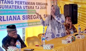 Derliana Siregar Sosialisasikan Ranperda Pertanian Organik di Madina, Petani Didorong 'Banting Stir' Demi Tanah Subur dan Hasil Maknyus!