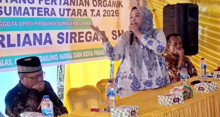 Derliana Siregar Sosialisasikan Ranperda Pertanian Organik di Madina, Petani Didorong 'Banting Stir' Demi Tanah Subur dan Hasil Maknyus!